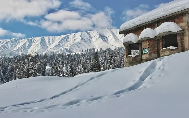 Kashmir Srinagar Gulmarg Pahalgam Tour Package
